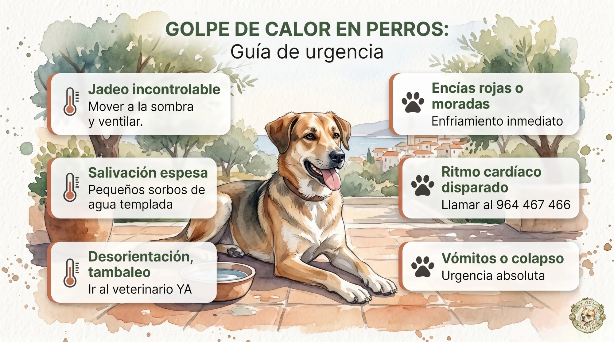 Golpe de Calor en Perros y Gatos: Cómo Detectarlo y Actuar a Tiempo
