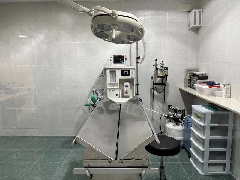 Equipamiento quirófano